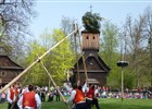 Tradiční lidová májová slavnost STAVĚNÍ MÁJE ve Valašském muzeu v přírodě v Rožnově pod Radhoštěm