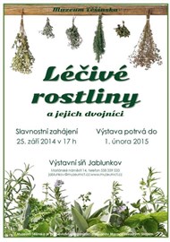 Léčivé rostliny a jejich dvojníci