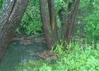 Řeka Ostravice ve Frýdlantě n. O. - velká voda květen 2014