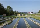 Koupací biotop otevřen v Prostřední Bečvě